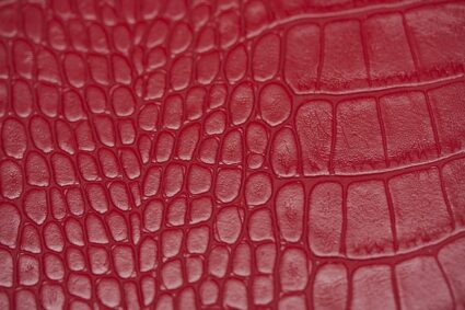 skin-2857699_640