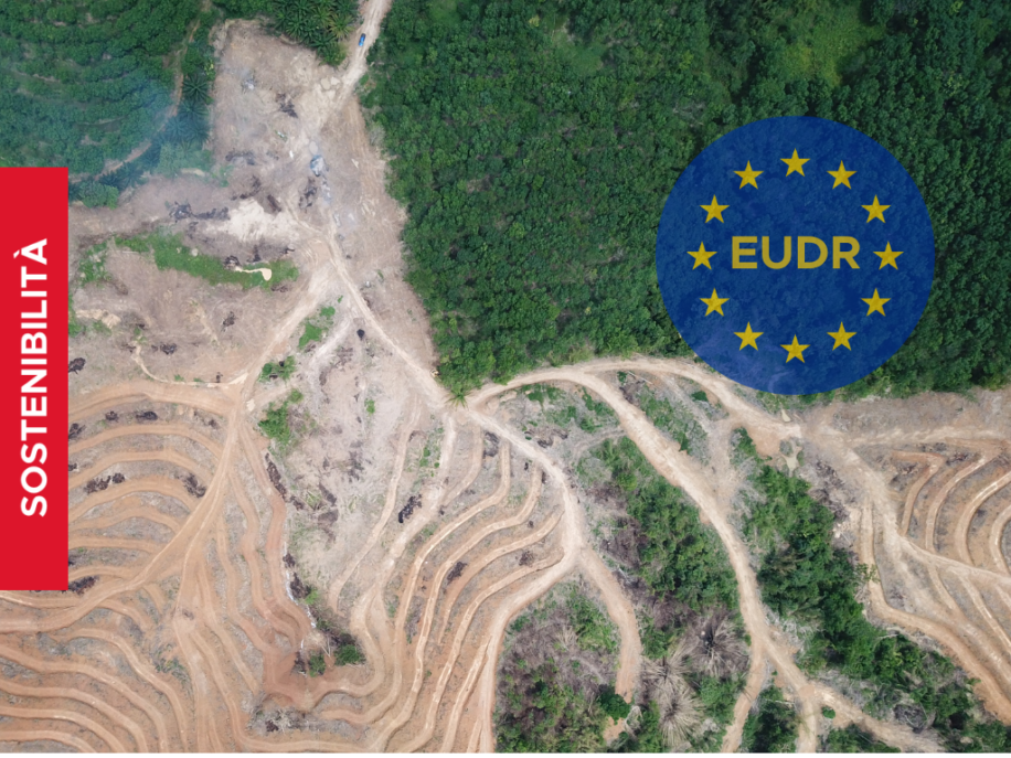 eudr 2026